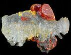 Realgar Crystals on Quartz - Perú #45738-1